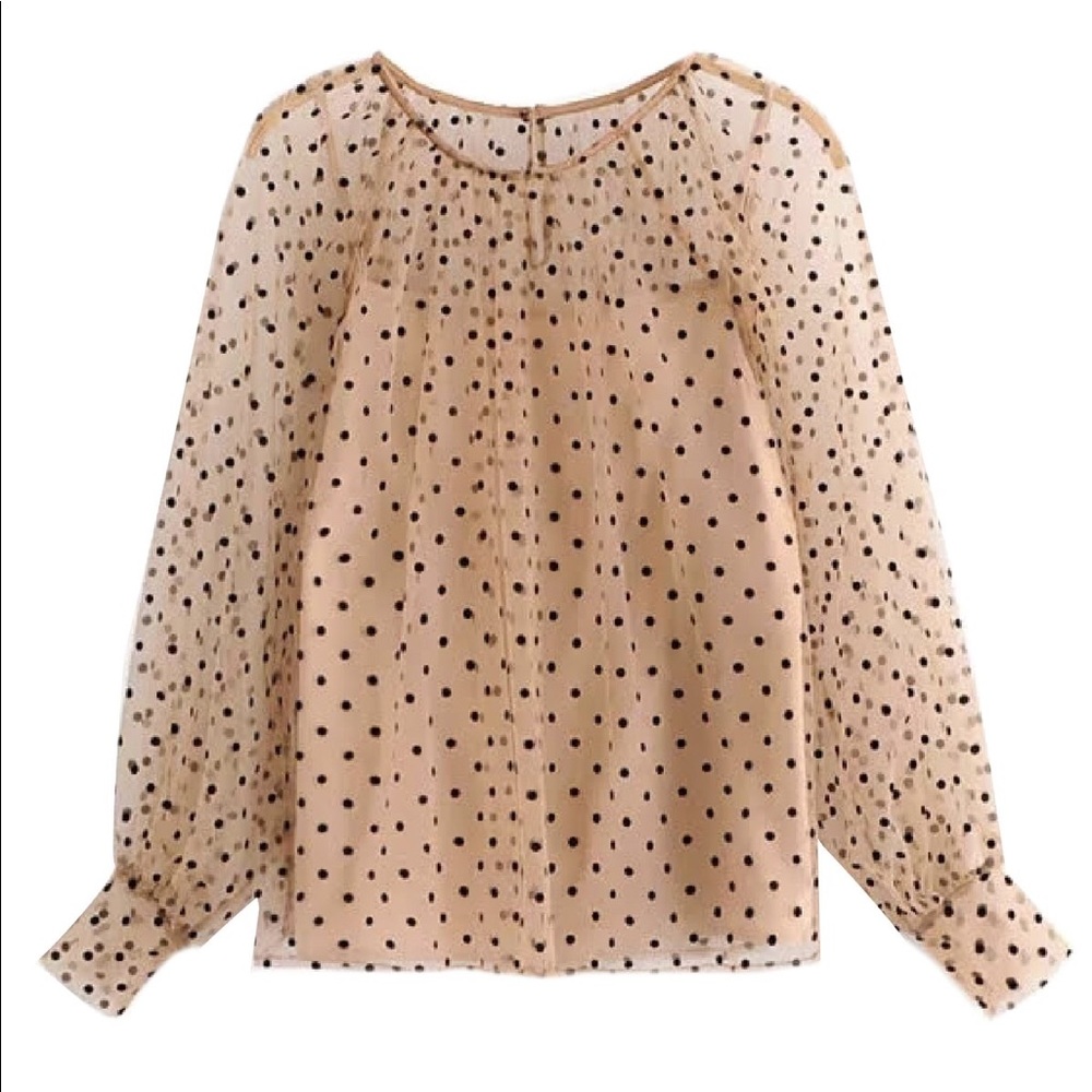 Polka Dot Sheer Blouse
